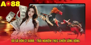 Đá Gà Đòn C1 AO88 – Trải Nghiệm Thực Chiến Sống Động