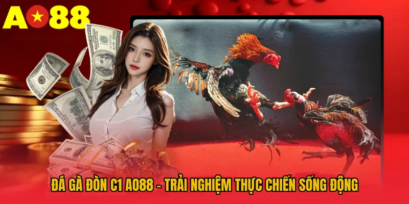 Đá Gà Đòn C1 AO88 – Trải Nghiệm Thực Chiến Sống Động