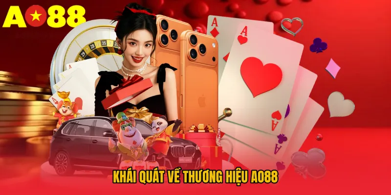 Khái quát về thương hiệu AO88